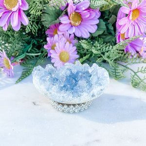 S1668 Celestite crystal geode cluster 7cm Australia. Buy celestite crystal australia. gemrox sydney 1