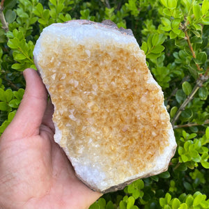 S1795 citrine crystal raw stone cluster 13.5cm and 1.124 kilos australia. buy citrine cluster for home or office australia.gemrox sydney 1