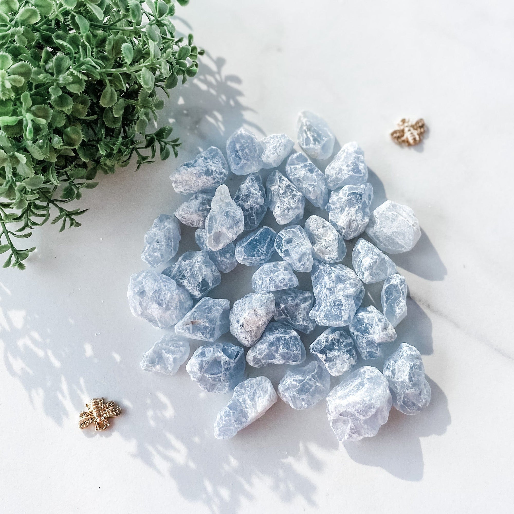 s1056 celestite crystal raw rough 2cm stone crystals australia gemrox crystals sydney 1