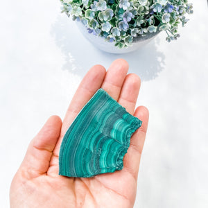 Malachite Slice Slab Specimen-7cm