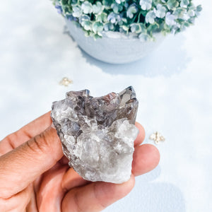 Smoky Quartz Raw Crystal Cluster-5cm