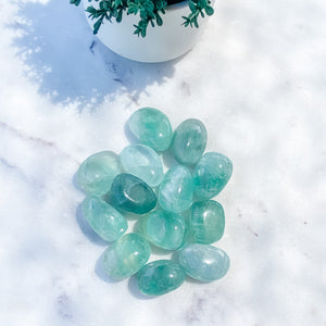 Fluorite Green Tumbled Stone-3cm