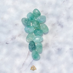 Fluorite Green Tumbled Stone-3cm